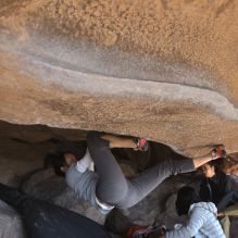 Filename: SRM_20260328_1128050.jpg
Aperture: f/8.0
Shutter Speed: 1/1000
Body: Canon EOS R6
Lens: Canon EF 16-35mm f/2.8 L