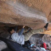 Filename: SRM_20260328_1205020.jpg
Aperture: f/8.0
Shutter Speed: 1/1000
Body: Canon EOS R6
Lens: Canon EF 16-35mm f/2.8 L