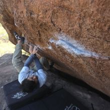 Filename: SRM_20260328_1353550.jpg
Aperture: f/5.6
Shutter Speed: 1/640
Body: Canon EOS R6
Lens: Canon EF 16-35mm f/2.8 L