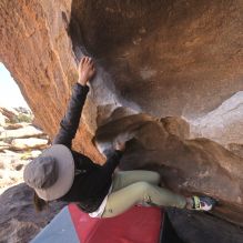 

Filename: SRM_20260328_1028220.jpg
Aperture: f/8.0
Shutter Speed: 1/1000
Body: Canon EOS R6
Lens: Canon EF 16-35mm f/2.8 L