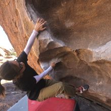 Filename: SRM_20260328_1041141.jpg
Aperture: f/8.0
Shutter Speed: 1/1000
Body: Canon EOS R6
Lens: Canon EF 16-35mm f/2.8 L