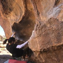 Filename: SRM_20260328_1041190.jpg
Aperture: f/8.0
Shutter Speed: 1/1000
Body: Canon EOS R6
Lens: Canon EF 16-35mm f/2.8 L