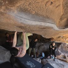 Filename: SRM_20260328_1123400.jpg
Aperture: f/8.0
Shutter Speed: 1/1000
Body: Canon EOS R6
Lens: Canon EF 16-35mm f/2.8 L