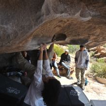 Filename: SRM_20260328_1132110.jpg
Aperture: f/8.0
Shutter Speed: 1/1000
Body: Canon EOS R6
Lens: Canon EF 16-35mm f/2.8 L