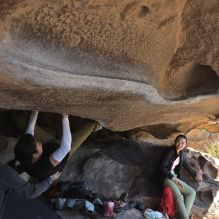 Filename: SRM_20260328_1133420.jpg
Aperture: f/8.0
Shutter Speed: 1/1000
Body: Canon EOS R6
Lens: Canon EF 16-35mm f/2.8 L