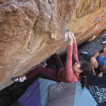 Filename: SRM_20260328_1409290.jpg
Aperture: f/5.6
Shutter Speed: 1/640
Body: Canon EOS R6
Lens: Canon EF 16-35mm f/2.8 L