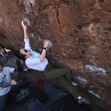 

Filename: SRM_20260329_1017500.jpg
Aperture: f/5.6
Shutter Speed: 1/500
Body: Canon EOS R6
Lens: Canon EF 16-35mm f/2.8 L