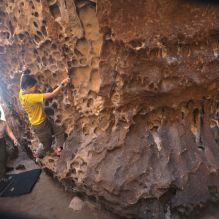 

Filename: SRM_20260329_1212060.jpg
Aperture: f/5.6
Shutter Speed: 1/250
Body: Canon EOS R6
Lens: Canon EF 16-35mm f/2.8 L