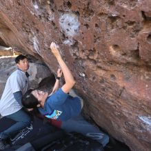 

Filename: SRM_20260329_0922030.jpg
Aperture: f/5.6
Shutter Speed: 1/640
Body: Canon EOS R6
Lens: Canon EF 16-35mm f/2.8 L