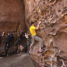 

Filename: SRM_20260329_1214170.jpg
Aperture: f/5.6
Shutter Speed: 1/160
Body: Canon EOS R6
Lens: Canon EF 16-35mm f/2.8 L