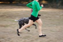 Flyer Terranova running around Floral Park in an attempt to become Austin's fittest dog (for Austin Fit Magazine) on Sunday, January 18, 2009.

Filename: SRM_20090118_16511799.JPG
Aperture: f/5.6
Shutter Speed: 1/100
Body: Canon EOS-1D Mark II
Lens: Canon EF 100-400mm f/4.5-5.6 L IS USM