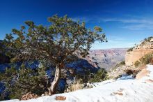 Hike down the South Kaibab trail, backpacking the Grand Canyon with Beth, Thursday, January 1, 2009.

Filename: SRM_20090101_12132278.jpg
Aperture: f/11.0
Shutter Speed: 1/80
Body: Canon EOS-1D Mark II
Lens: Canon EF 16-35mm f/2.8 L