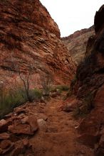 Hiking up the Bright Angel trail from Bright Angel campground to Indian Garden campground, while backpacking the Grand Canyon with Beth, Saturday, January 3, 2009.

Filename: SRM_20090103_11381650.JPG
Aperture: f/11.0
Shutter Speed: 1/13
Body: Canon EOS-1D Mark II
Lens: Canon EF 16-35mm f/2.8 L