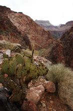 Hiking up the Bright Angel trail from Bright Angel campground to Indian Garden campground, while backpacking the Grand Canyon with Beth, Saturday, January 3, 2009.

Filename: SRM_20090103_11572455.JPG
Aperture: f/11.0
Shutter Speed: 1/50
Body: Canon EOS-1D Mark II
Lens: Canon EF 16-35mm f/2.8 L