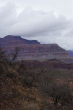 Hiking up the Bright Angel trail from Bright Angel campground to Indian Garden campground, while backpacking the Grand Canyon with Beth, Saturday, January 3, 2009.

Filename: SRM_20090103_15464130.JPG
Aperture: f/11.0
Shutter Speed: 1/50
Body: Canon EOS-1D Mark II
Lens: Canon EF 100-400mm f/4.5-5.6 L IS USM