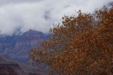 Hiking up the Bright Angel trail from Bright Angel campground to Indian Garden campground, while backpacking the Grand Canyon with Beth, Saturday, January 3, 2009.

Filename: SRM_20090103_15474432.JPG
Aperture: f/11.0
Shutter Speed: 1/50
Body: Canon EOS-1D Mark II
Lens: Canon EF 100-400mm f/4.5-5.6 L IS USM