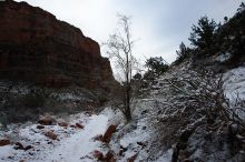 Hike up the Bright Angel trail from Indian Gardens campground, while backpacking the Grand Canyon, on Sunday, January 4, 2009.

Filename: SRM_20090104_09025665.JPG
Aperture: f/11.0
Shutter Speed: 1/25
Body: Canon EOS-1D Mark II
Lens: Canon EF 16-35mm f/2.8 L