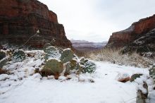 Hike up the Bright Angel trail from Indian Gardens campground, while backpacking the Grand Canyon, on Sunday, January 4, 2009.

Filename: SRM_20090104_09122170.JPG
Aperture: f/11.0
Shutter Speed: 1/15
Body: Canon EOS-1D Mark II
Lens: Canon EF 16-35mm f/2.8 L