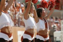 Texas Pom.  The University of Texas football team defeated the Arkansas Razorbacks with a score of 52-10 in Austin, TX on Saturday, September 27, 2008.

Filename: SRM_20080927_15374858.jpg
Aperture: f/5.6
Shutter Speed: 1/1600
Body: Canon EOS-1D Mark II
Lens: Canon EF 300mm f/2.8 L IS