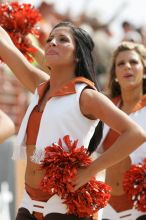 Texas Pom.  The University of Texas football team defeated the Arkansas Razorbacks with a score of 52-10 in Austin, TX on Saturday, September 27, 2008.

Filename: SRM_20080927_15415286.jpg
Aperture: f/5.6
Shutter Speed: 1/1000
Body: Canon EOS-1D Mark II
Lens: Canon EF 300mm f/2.8 L IS