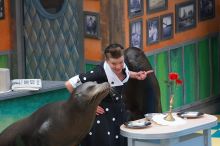 Sea lions Clyde and Seamore in "The Cannery Row Caper" show at Sea World, San Antonio.

Filename: SRM_20060423_161436_7.jpg
Aperture: f/5.0
Shutter Speed: 1/320
Body: Canon EOS 20D
Lens: Canon EF 80-200mm f/2.8 L