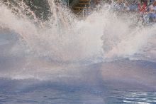 Shamu and Namu in the Believe show at Sea World, San Antonio.
Filename: SRM_20060423_123436_9.jpg
Aperture: f/5.0
Shutter Speed: 1/200
Body: Canon EOS 20D
Lens: Canon EF 80-200mm f/2.8 L