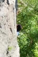 Javier Morales leading up Nose Print on the Windshield (5.11c), shot from the top of Ack! (5.11b, but using the crack for the start instead) that I top roped up with my camera on my back.  It was another long day of rock climbing at Seismic Wall on Austin's Barton Creek Greenbelt, Sunday, April 5, 2009.

Filename: SRM_20090405_13055798.jpg
Aperture: f/5.0
Shutter Speed: 1/400
Body: Canon EOS-1D Mark II
Lens: Canon EF 80-200mm f/2.8 L