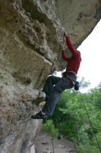 Me top rope climbing Diving for Rocks (5.10d), photographed from  the third bolt of Magster (5.10a) by Andrew Dreher.  It was another long day of rock climbing at Seismic Wall on Austin's Barton Creek Greenbelt, Saturday, April 11, 2009.

Filename: SRM_20090411_17190482.JPG
Aperture: f/5.6
Shutter Speed: 1/320
Body: Canon EOS-1D Mark II
Lens: Canon EF 16-35mm f/2.8 L