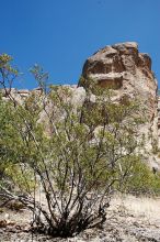 Rock climbing in Hueco Tanks State Park and Historic Site during the Hueco Tanks Awesome Fest 2010 trip, Friday, May 21, 2010.

Filename: SRM_20100521_15455613.JPG
Aperture: f/8.0
Shutter Speed: 1/200
Body: Canon EOS-1D Mark II
Lens: Canon EF 16-35mm f/2.8 L