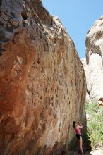 Rock climbing in Hueco Tanks State Park and Historic Site during the Hueco Tanks Awesome Fest 2010 trip, Friday, May 21, 2010.

Filename: SRM_20100521_16251914.JPG
Aperture: f/8.0
Shutter Speed: 1/80
Body: Canon EOS-1D Mark II
Lens: Canon EF 16-35mm f/2.8 L