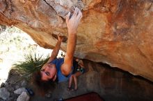 Javier Morales rock climbing on No One Gets Out of Here Alive (V2) in Hueco Tanks State Park and Historic Site during the Hueco Tanks Awesome Fest 2010 trip, Saturday, May 22, 2010.

Filename: SRM_20100522_15231039.JPG
Aperture: f/5.6
Shutter Speed: 1/400
Body: Canon EOS-1D Mark II
Lens: Canon EF 16-35mm f/2.8 L