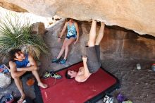 Raanan Robertson rock climbing on No One Gets Out of Here Alive (V2) in Hueco Tanks State Park and Historic Site during the Hueco Tanks Awesome Fest 2010 trip, Saturday, May 22, 2010.

Filename: SRM_20100522_15280448.JPG
Aperture: f/5.6
Shutter Speed: 1/160
Body: Canon EOS-1D Mark II
Lens: Canon EF 16-35mm f/2.8 L