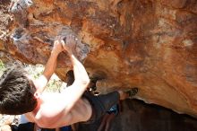 Raanan Robertson rock climbing on No One Gets Out of Here Alive (V2) in Hueco Tanks State Park and Historic Site during the Hueco Tanks Awesome Fest 2010 trip, Saturday, May 22, 2010.

Filename: SRM_20100522_15283053.JPG
Aperture: f/5.6
Shutter Speed: 1/640
Body: Canon EOS-1D Mark II
Lens: Canon EF 16-35mm f/2.8 L