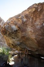 Cayce Wilson rock climbing on No One Gets Out of Here Alive (V2) in Hueco Tanks State Park and Historic Site during the Hueco Tanks Awesome Fest 2010 trip, Sunday, May 23, 2010.

Filename: SRM_20100523_11032117.JPG
Aperture: f/5.6
Shutter Speed: 1/500
Body: Canon EOS-1D Mark II
Lens: Canon EF 16-35mm f/2.8 L