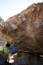 Cayce Wilson rock climbing on No One Gets Out of Here Alive (V2) in Hueco Tanks State Park and Historic Site during the Hueco Tanks Awesome Fest 2010 trip, Sunday, May 23, 2010.

Filename: SRM_20100523_11033730.JPG
Aperture: f/5.6
Shutter Speed: 1/500
Body: Canon EOS-1D Mark II
Lens: Canon EF 16-35mm f/2.8 L