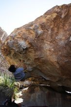 Cayce Wilson rock climbing on No One Gets Out of Here Alive (V2) in Hueco Tanks State Park and Historic Site during the Hueco Tanks Awesome Fest 2010 trip, Sunday, May 23, 2010.

Filename: SRM_20100523_11033831.JPG
Aperture: f/5.6
Shutter Speed: 1/500
Body: Canon EOS-1D Mark II
Lens: Canon EF 16-35mm f/2.8 L