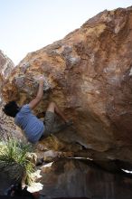 Cayce Wilson rock climbing on No One Gets Out of Here Alive (V2) in Hueco Tanks State Park and Historic Site during the Hueco Tanks Awesome Fest 2010 trip, Sunday, May 23, 2010.

Filename: SRM_20100523_11034734.JPG
Aperture: f/5.6
Shutter Speed: 1/500
Body: Canon EOS-1D Mark II
Lens: Canon EF 16-35mm f/2.8 L