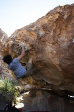 Cayce Wilson rock climbing on No One Gets Out of Here Alive (V2) in Hueco Tanks State Park and Historic Site during the Hueco Tanks Awesome Fest 2010 trip, Sunday, May 23, 2010.

Filename: SRM_20100523_11034736.JPG
Aperture: f/5.6
Shutter Speed: 1/500
Body: Canon EOS-1D Mark II
Lens: Canon EF 16-35mm f/2.8 L