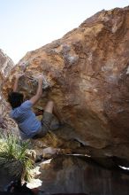 Cayce Wilson rock climbing on No One Gets Out of Here Alive (V2) in Hueco Tanks State Park and Historic Site during the Hueco Tanks Awesome Fest 2010 trip, Sunday, May 23, 2010.

Filename: SRM_20100523_11034837.JPG
Aperture: f/5.6
Shutter Speed: 1/500
Body: Canon EOS-1D Mark II
Lens: Canon EF 16-35mm f/2.8 L