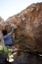 Cayce Wilson rock climbing on No One Gets Out of Here Alive (V2) in Hueco Tanks State Park and Historic Site during the Hueco Tanks Awesome Fest 2010 trip, Sunday, May 23, 2010.

Filename: SRM_20100523_11034938.JPG
Aperture: f/5.6
Shutter Speed: 1/500
Body: Canon EOS-1D Mark II
Lens: Canon EF 16-35mm f/2.8 L