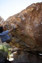 Cayce Wilson rock climbing on No One Gets Out of Here Alive (V2) in Hueco Tanks State Park and Historic Site during the Hueco Tanks Awesome Fest 2010 trip, Sunday, May 23, 2010.

Filename: SRM_20100523_11035039.JPG
Aperture: f/5.6
Shutter Speed: 1/500
Body: Canon EOS-1D Mark II
Lens: Canon EF 16-35mm f/2.8 L