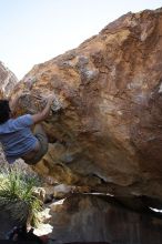 Cayce Wilson rock climbing on No One Gets Out of Here Alive (V2) in Hueco Tanks State Park and Historic Site during the Hueco Tanks Awesome Fest 2010 trip, Sunday, May 23, 2010.

Filename: SRM_20100523_11035040.JPG
Aperture: f/5.6
Shutter Speed: 1/500
Body: Canon EOS-1D Mark II
Lens: Canon EF 16-35mm f/2.8 L