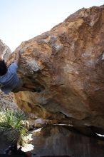 Cayce Wilson rock climbing on No One Gets Out of Here Alive (V2) in Hueco Tanks State Park and Historic Site during the Hueco Tanks Awesome Fest 2010 trip, Sunday, May 23, 2010.

Filename: SRM_20100523_11035142.JPG
Aperture: f/5.6
Shutter Speed: 1/500
Body: Canon EOS-1D Mark II
Lens: Canon EF 16-35mm f/2.8 L