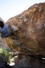 Cayce Wilson rock climbing on No One Gets Out of Here Alive (V2) in Hueco Tanks State Park and Historic Site during the Hueco Tanks Awesome Fest 2010 trip, Sunday, May 23, 2010.

Filename: SRM_20100523_11035343.JPG
Aperture: f/5.6
Shutter Speed: 1/500
Body: Canon EOS-1D Mark II
Lens: Canon EF 16-35mm f/2.8 L