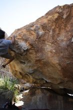 Cayce Wilson rock climbing on No One Gets Out of Here Alive (V2) in Hueco Tanks State Park and Historic Site during the Hueco Tanks Awesome Fest 2010 trip, Sunday, May 23, 2010.

Filename: SRM_20100523_11035644.JPG
Aperture: f/5.6
Shutter Speed: 1/500
Body: Canon EOS-1D Mark II
Lens: Canon EF 16-35mm f/2.8 L