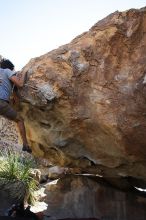 Cayce Wilson rock climbing on No One Gets Out of Here Alive (V2) in Hueco Tanks State Park and Historic Site during the Hueco Tanks Awesome Fest 2010 trip, Sunday, May 23, 2010.

Filename: SRM_20100523_11040347.JPG
Aperture: f/5.6
Shutter Speed: 1/500
Body: Canon EOS-1D Mark II
Lens: Canon EF 16-35mm f/2.8 L