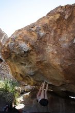 Sarah Williams rock climbing on No One Gets Out of Here Alive (V2) in Hueco Tanks State Park and Historic Site during the Hueco Tanks Awesome Fest 2010 trip, Sunday, May 23, 2010.

Filename: SRM_20100523_11043748.JPG
Aperture: f/5.6
Shutter Speed: 1/500
Body: Canon EOS-1D Mark II
Lens: Canon EF 16-35mm f/2.8 L