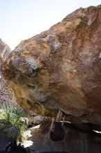 Beth Marek rock climbing on No One Gets Out of Here Alive (V2) in Hueco Tanks State Park and Historic Site during the Hueco Tanks Awesome Fest 2010 trip, Sunday, May 23, 2010.

Filename: SRM_20100523_11060162.JPG
Aperture: f/5.6
Shutter Speed: 1/500
Body: Canon EOS-1D Mark II
Lens: Canon EF 16-35mm f/2.8 L