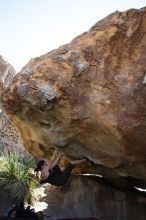 Beth Marek rock climbing on No One Gets Out of Here Alive (V2) in Hueco Tanks State Park and Historic Site during the Hueco Tanks Awesome Fest 2010 trip, Sunday, May 23, 2010.

Filename: SRM_20100523_11061466.JPG
Aperture: f/5.6
Shutter Speed: 1/500
Body: Canon EOS-1D Mark II
Lens: Canon EF 16-35mm f/2.8 L