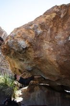 Beth Marek rock climbing on No One Gets Out of Here Alive (V2) in Hueco Tanks State Park and Historic Site during the Hueco Tanks Awesome Fest 2010 trip, Sunday, May 23, 2010.

Filename: SRM_20100523_11062269.JPG
Aperture: f/5.6
Shutter Speed: 1/500
Body: Canon EOS-1D Mark II
Lens: Canon EF 16-35mm f/2.8 L